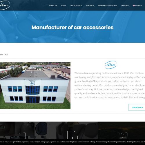 Torby samochodowe dopasowane do bagażnika