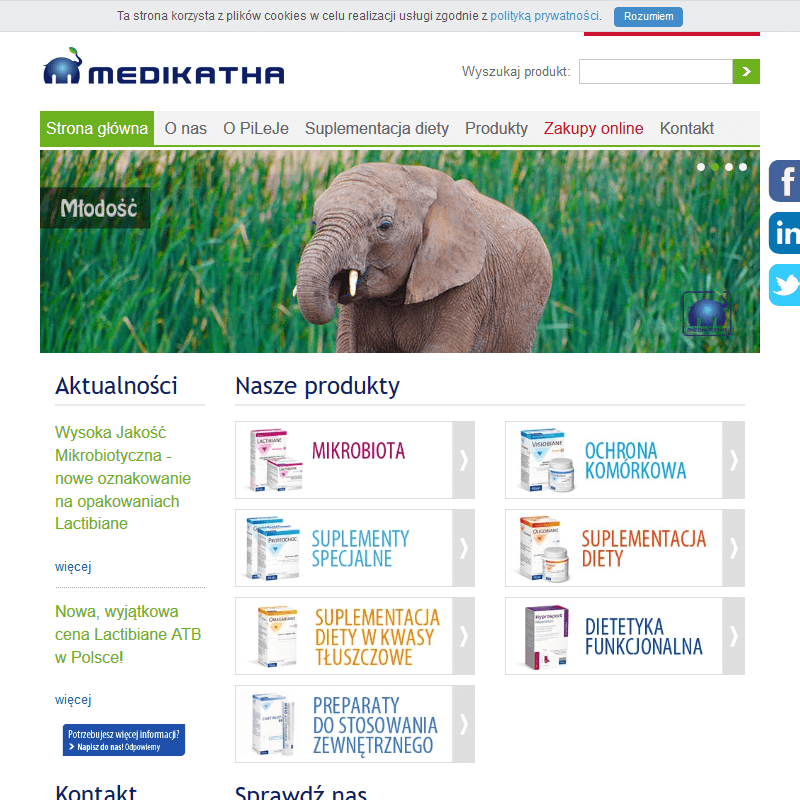 Probiotyk w grzybicy